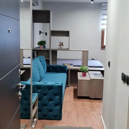 Snezni Vrh - Bela Reka, Apartment
