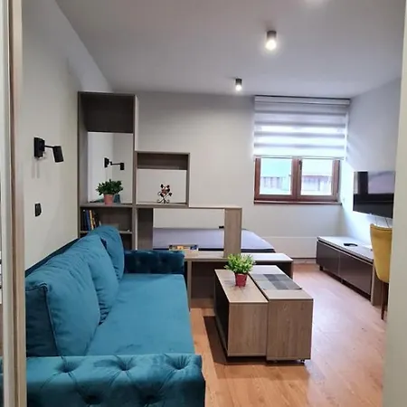 Apartment Snezni Vrh - Bela Reka, *