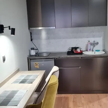 Apartment Snezni Vrh - Bela Reka, Brzece