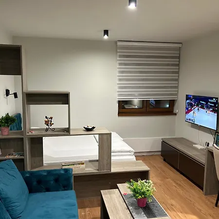 Snezni Vrh - Bela Reka, Apartment Brzece