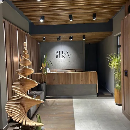 Snezni Vrh - Bela Reka, דירה Brzeće