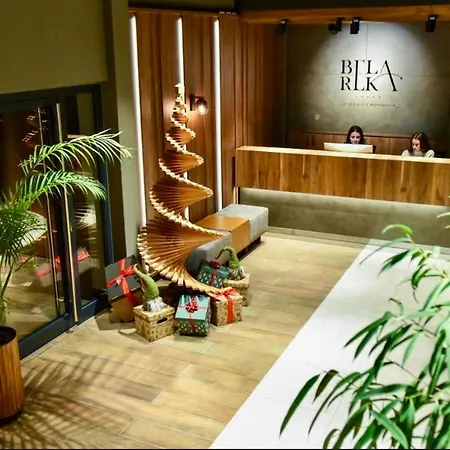 Snezni Vrh - Bela Reka, דירה *