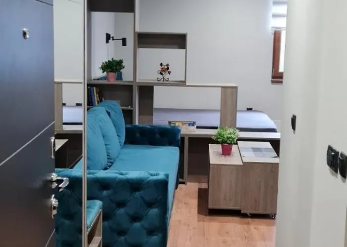 Snezni Vrh - Bela Reka, Διαμέρισμα