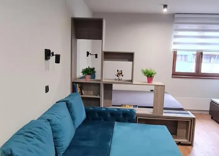 Snezni Vrh - Bela Reka, *