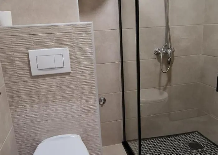 Διαμέρισμα Snezni Vrh - Bela Reka, Brzeće