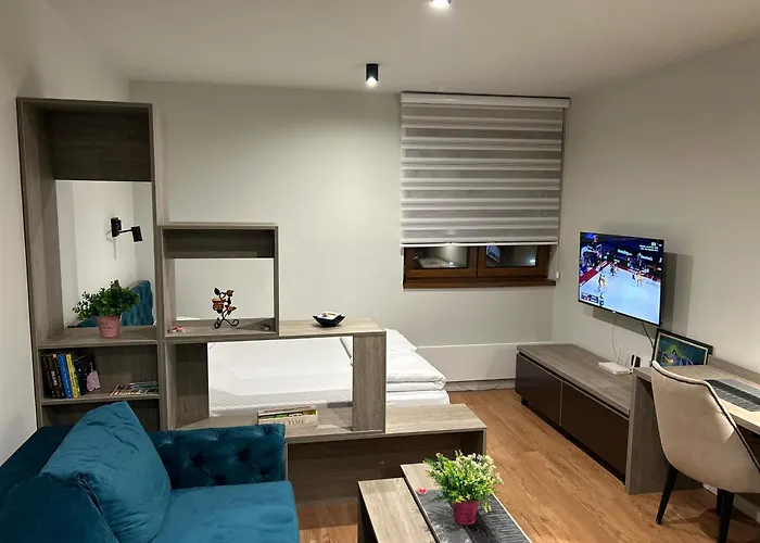 Snezni Vrh - Bela Reka, Διαμέρισμα Brzeće