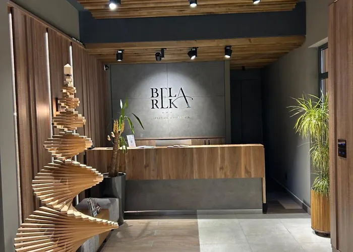 Snezni Vrh - Bela Reka, Διαμέρισμα Brzeće