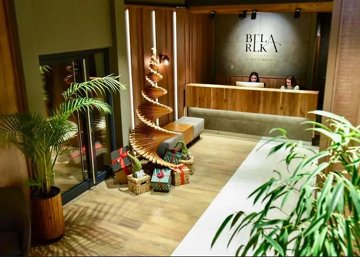 Snezni Vrh - Bela Reka, Διαμέρισμα *